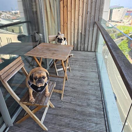Benji & Milos Apartments 벨파스트 외부 사진